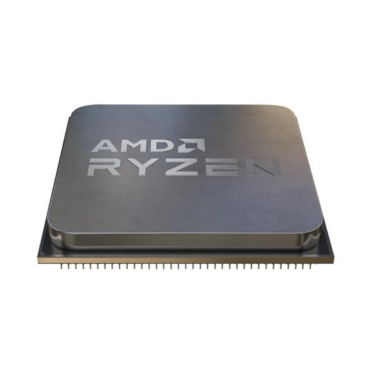 AMD Ryzen 5 5600
